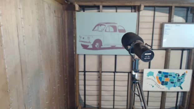 bryancavallo  19-08-2023 video nasty