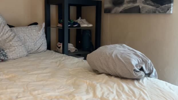 daloevera  22-08-2023 video naked