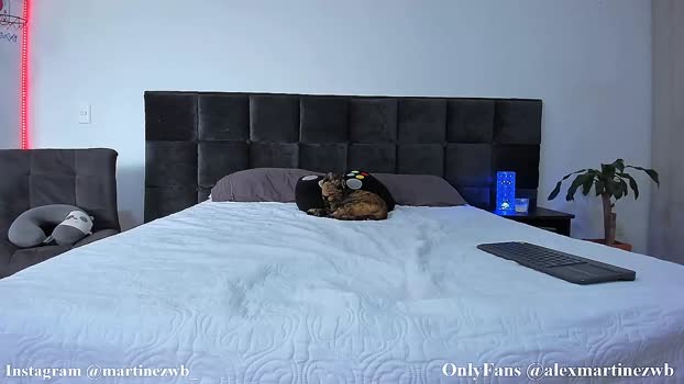 alexander_martines  23-08-2023 video Ass