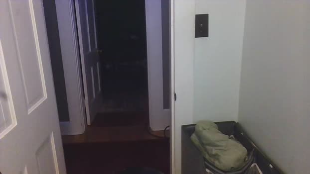 mysterybeats  25-08-2023 video Webcam