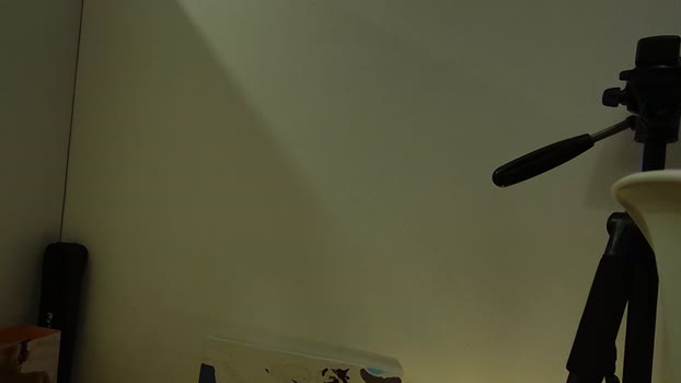 nicktazy  24-08-2023 video striptease