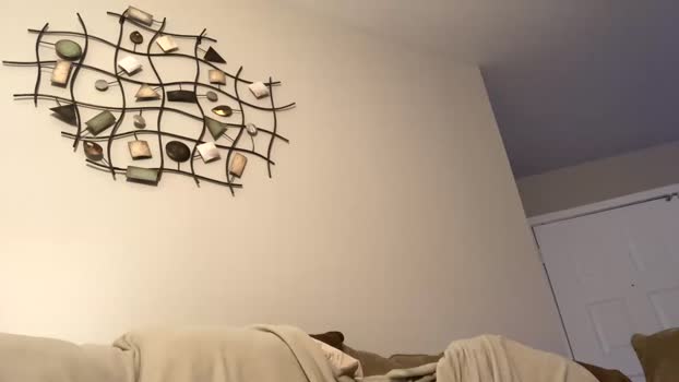 pulporico  24-08-2023 video naughty