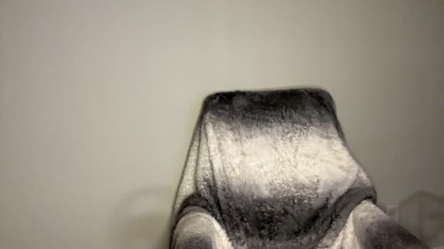 zayn_hawk  24-08-2023 video cute