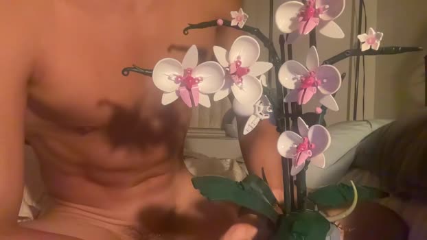 kelvinwilde  25-08-2023 video Ass