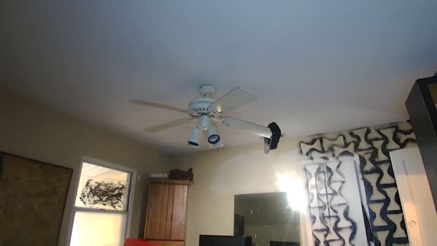 powerofmiracles  25-08-2023 video analtoy