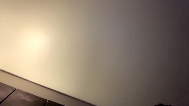 pulporico  25-08-2023 video bigtoys