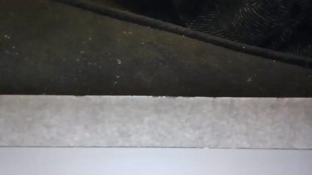 tellingyou2  26-08-2023 video moan