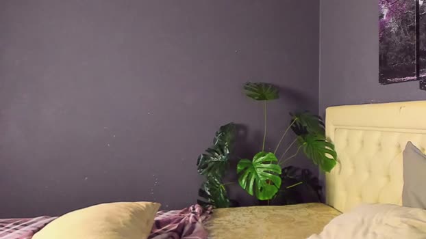 aristarkh_  28-08-2023 video fuckme