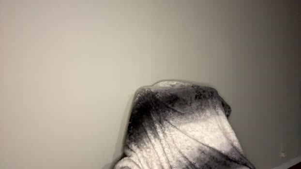 zayn_hawk  27-08-2023 video playtime