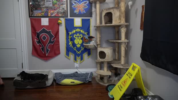 sydaffect  28-08-2023 video nasty