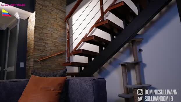 dominic_sullivan1  30-08-2023 video Show