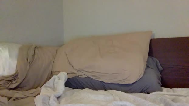 pphoto_95  29-08-2023 video bj-dildo