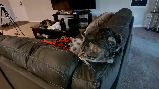 alphazack14  01-09-2023 video Pretty