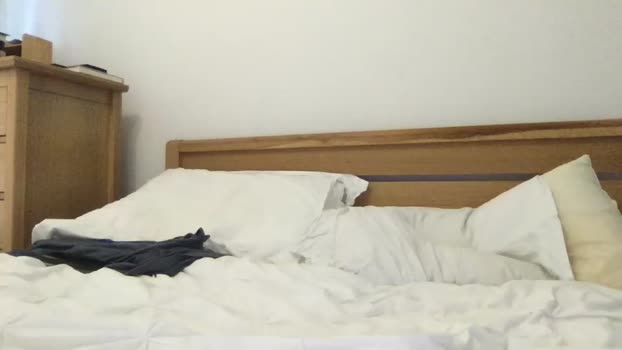 bihudddds  02-09-2023 video suckcock