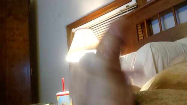 bigdick431536  04-09-2023 video big