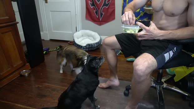 sydaffect  07-09-2023 video show