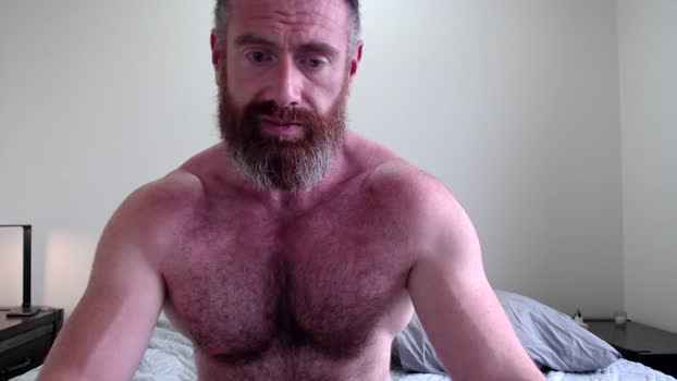 donnybasilisk  11-09-2023 video analtoy