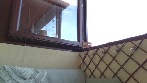 roberto_twink1  13-09-2023 video suckshow