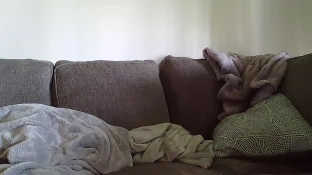 hailzeffn  15-09-2023 video Download