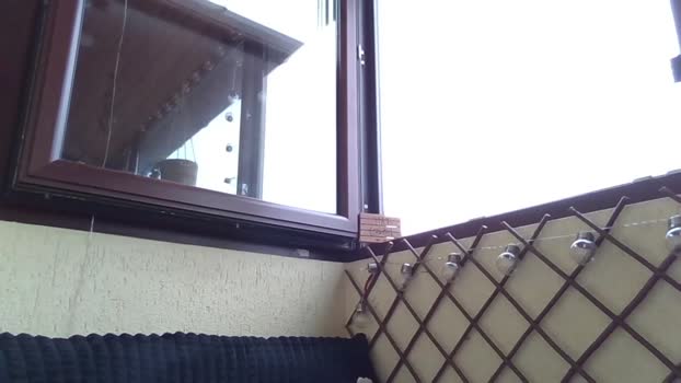 roberto_twink1  16-09-2023 video suckcock