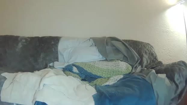 trickybonez  18-09-2023 video bigcock