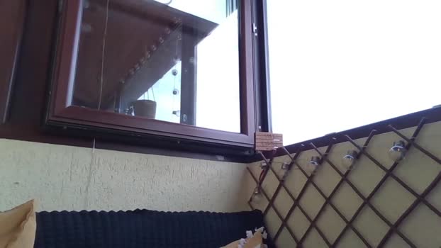 roberto_twink1  20-09-2023 video fuck