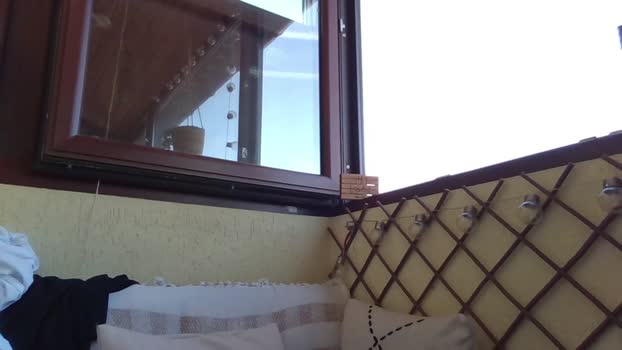 roberto_twink1  24-09-2023 video suckcock