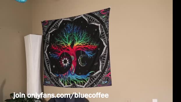 bluecoffee  25-09-2023 video play