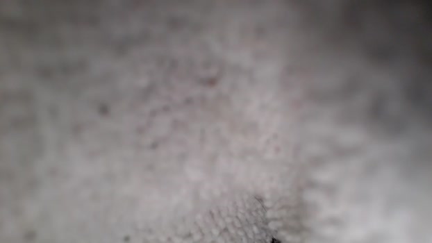 chrisbonewhite  01-10-2023 video fingers