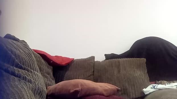 meetings_avalable  03-10-2023 video fuck