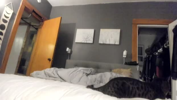 jbunny43  07-10-2023 video fingering