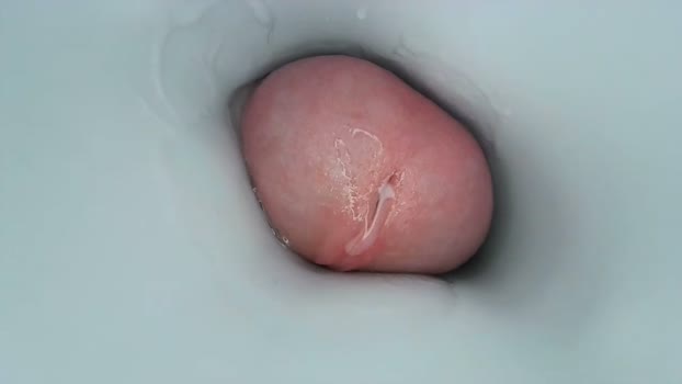 jeffrodgerschaturbat  09-10-2023 video bigdick