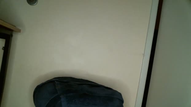 helloimleo123  11-10-2023 video ass