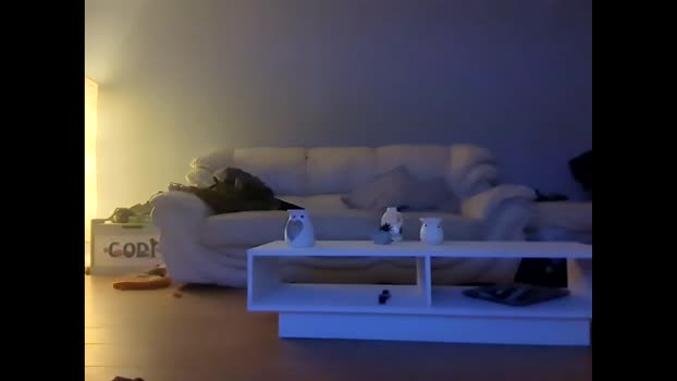 craigp314159  14-10-2023 video fuckass