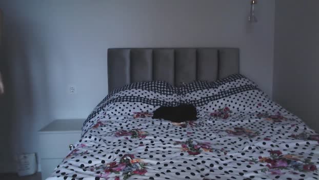 whosdamond  16-10-2023 video kink