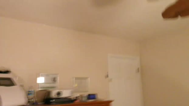 bestcockhere  19-10-2023 video natural