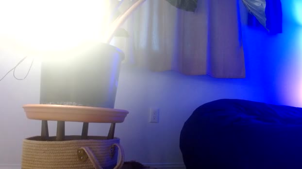 ironbutterfly69  19-10-2023 video kink