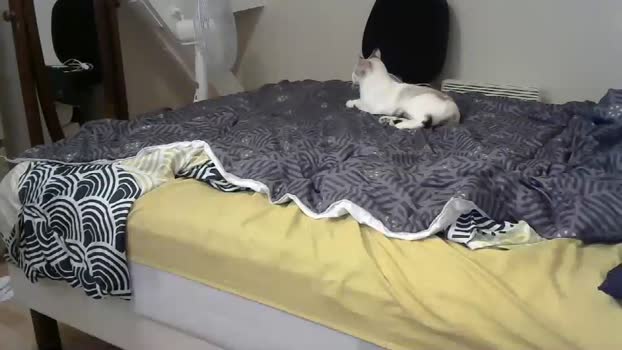 jasper_0_e23cm  20-10-2023 video fingering