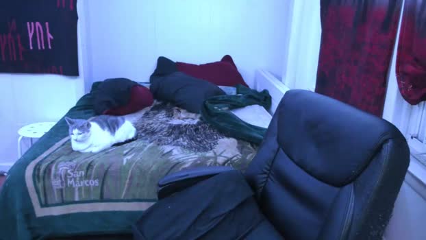 rickstone51  21-10-2023 video amateur