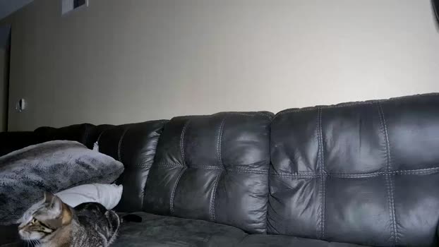 alphazack14  27-10-2023 video kissing