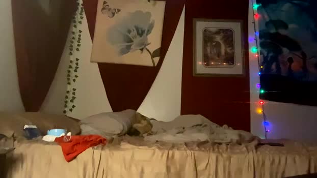 dylandaniel69  29-10-2023 video bj-dildo