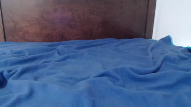 kevin0314  31-10-2023 video deepthroat