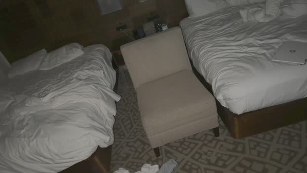 wondertone  04-11-2023 video oral