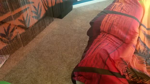 crooshycrucial  04-11-2023 video Recorded