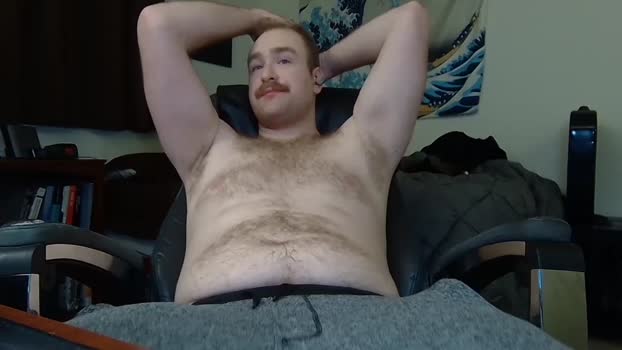 subwolfers  07-11-2023 video nasty