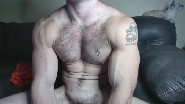 alphazack14  08-11-2023 video Webcam