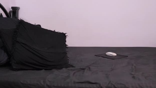 freddsexxx  10-11-2023 video hard