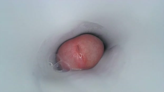 jeffrodgerschaturbat  11-11-2023 video lick