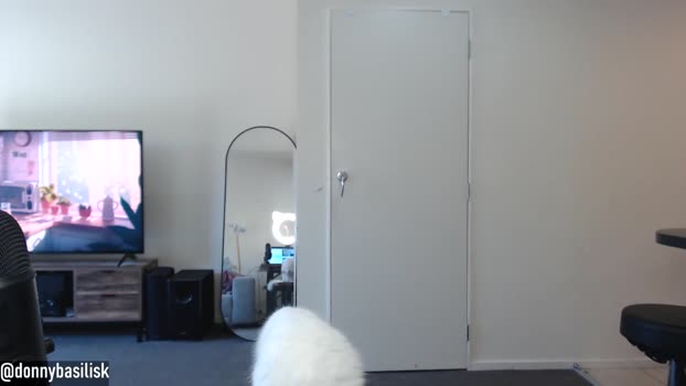 donnybasilisk  11-11-2023 video bigass