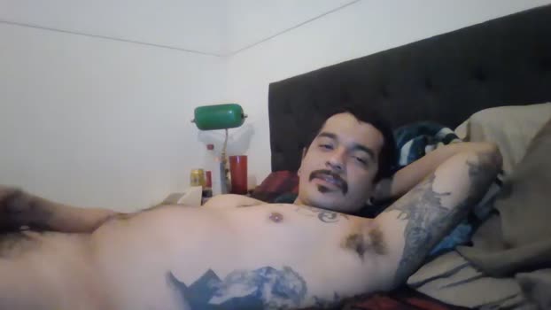 redalf66  12-11-2023 video nasty